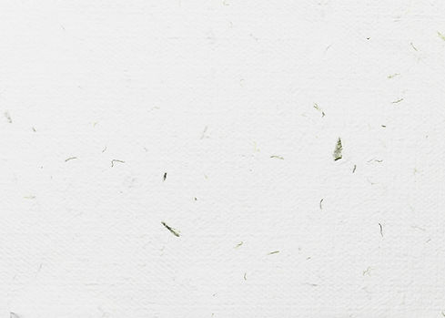 white-paper-texture-background.jpg