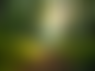 Kinetic Institute: Bridging Law and Environmental Science