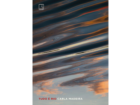 Livro Tudo é rio