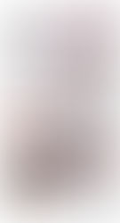 Review Geladeira Frost Free 371L Electrolux 02294FBA289