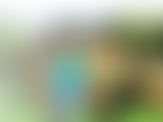 Minecraft – Pocket Edition