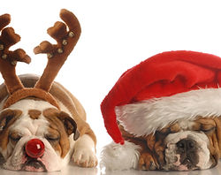 Send a letter to Santa Claus