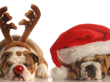 Take Care of Yourself - Holiday Health!