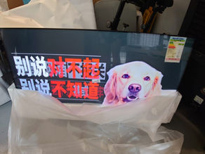 政府電視機工程