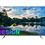 縮圖：55''Google TV- 55SUE7860 (43'' 43SUE7860)