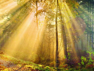 The Healing Power of Touch and Benefits of Nature Therapy