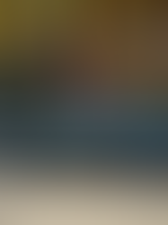 Top 5 Reliable and Affordable Cars Under 15000 for College Students