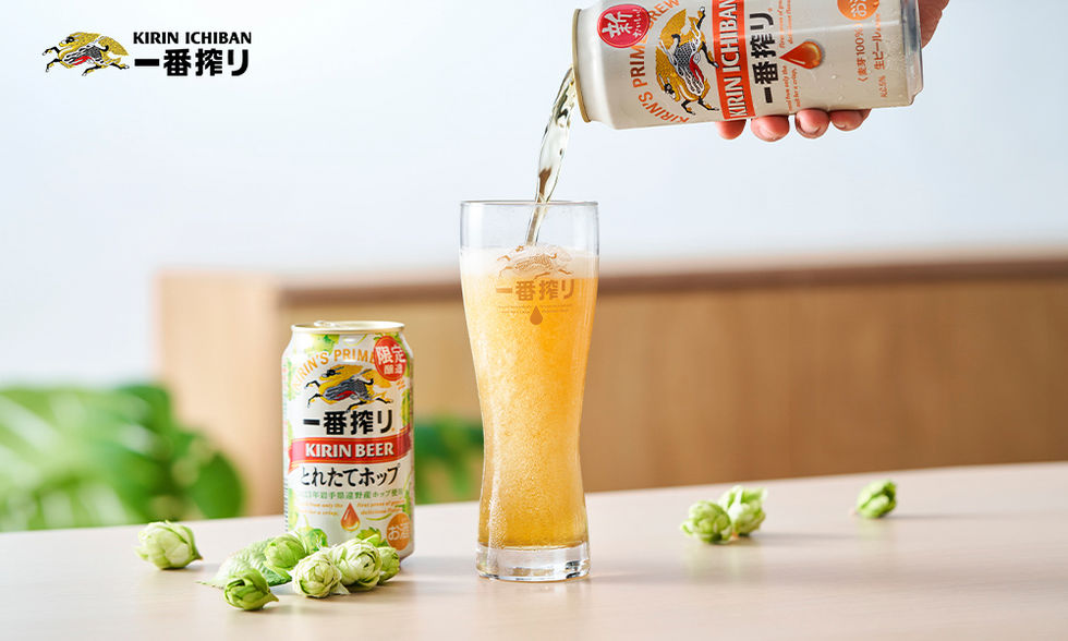新鲜啤酒花,清爽口感,斟满啤酒,啤酒泡沫
