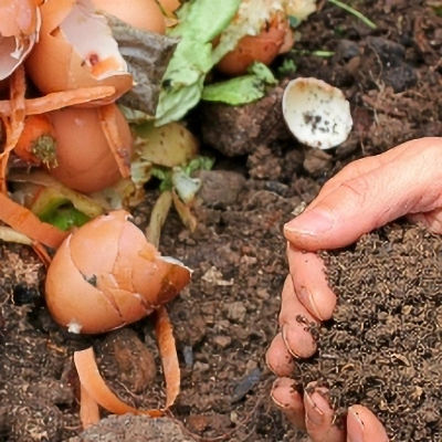 Compost