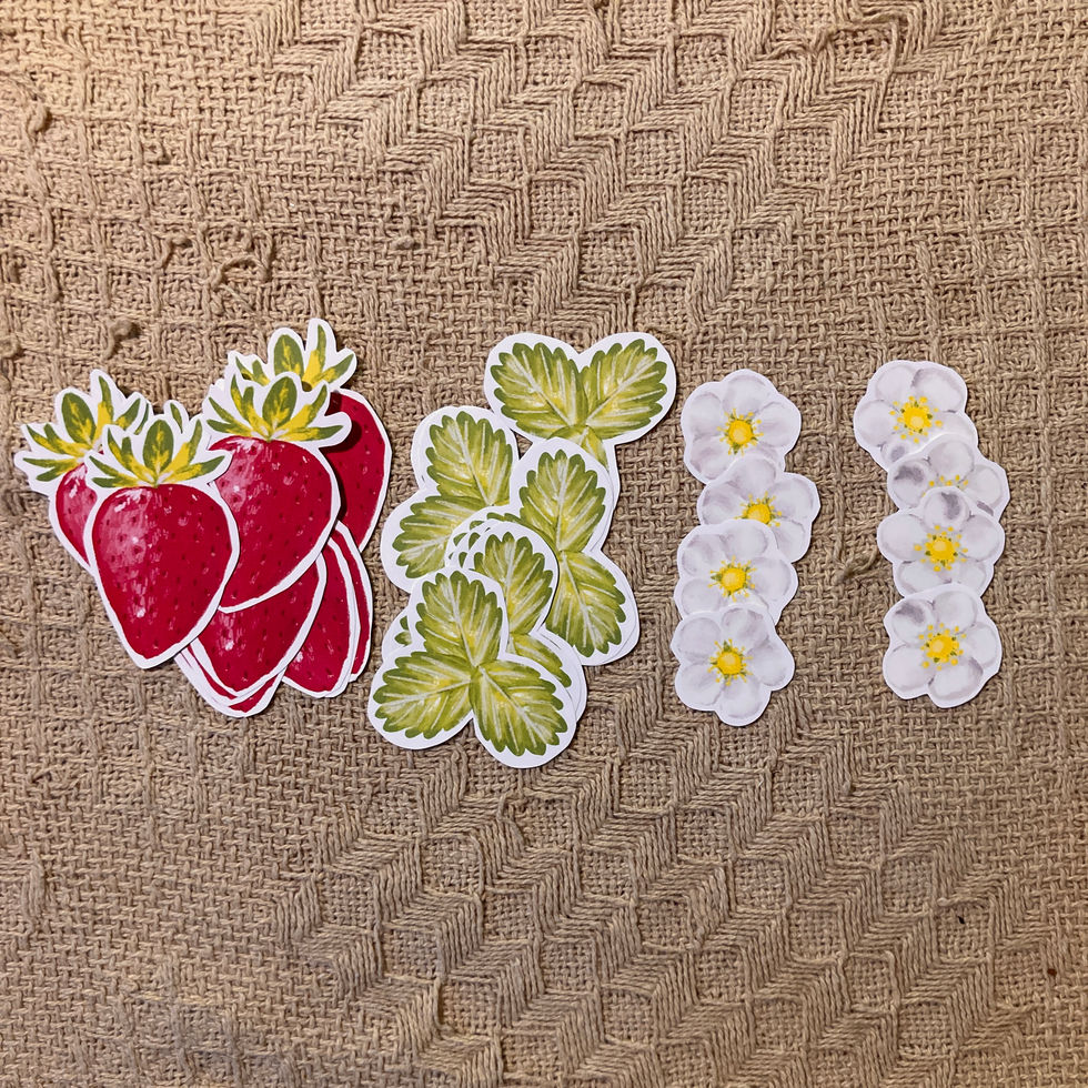 Individual Strawberry Stickers