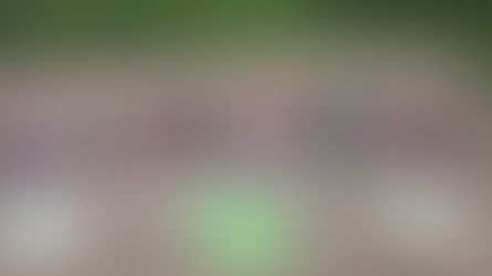 Мы за спорт! Россия, вперед!