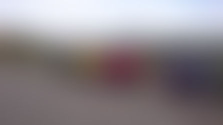 Ежегодный осенний кросс