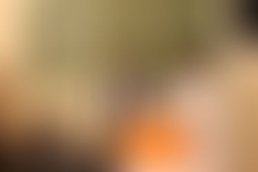 Всероссийский урок по первой помощи