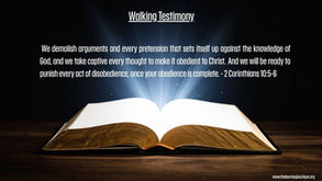 From Playroom to Classroom ~ A Walking  Testimony: What the Lord Has Done This Week
