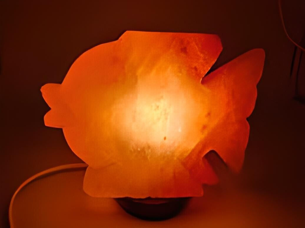 Lampada di sale PESCE dell' Himalaya