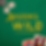 System's Wild Art 2.0.png