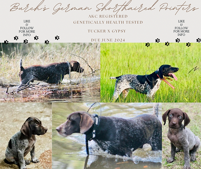 82DD77E4-38E6-4CBC-942D-0B7E7AF90873 (1).PNG