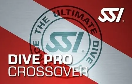 SSI-Crossover.webp