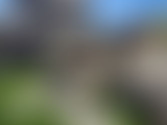 Professional Greenhouse and Shed Assembly: Why Expert Installation Matters