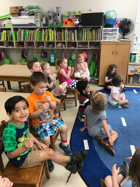 The Penguins Learned about Honey Bees Today