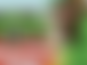 🌱 Grow a Garden Masterclass: How a Cozy Farming Sim Cracked the Roblox Front Page | Grow a garden roblox game success case study