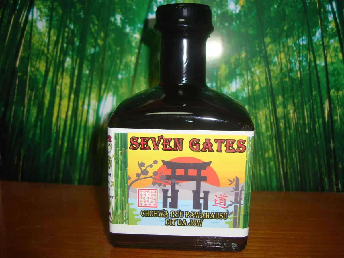 Chohwa Ryu Pawahausu - Dit Da Jow