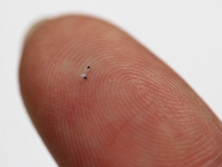 Robotic Micro-Scallops Can Swim Through Your Eyeballs