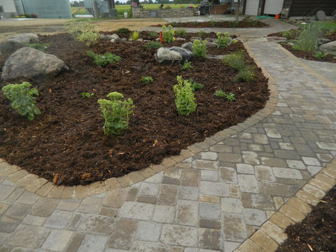 Paver Sidewalk created Adam Pedersen Landscaping.