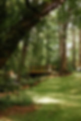 AlexBlakePhoto288-3R5A4225.JPEG