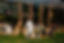 AlexBlakePhoto546-LR109671.jpg