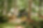 AlexBlakePhoto69-3R5A3720.jpg