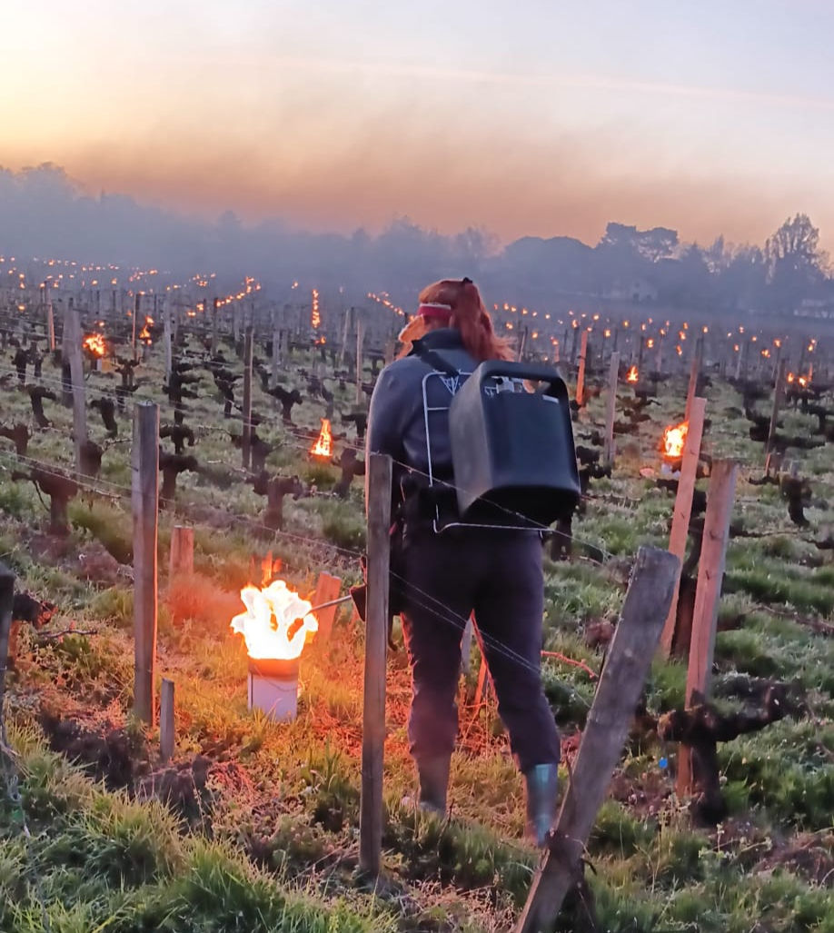 Lighting candles in Pessac-Léognan