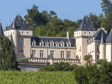 Tailored Wine tours for Corporate and Team-building events