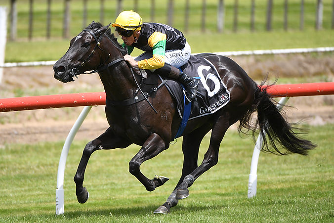 Kenton Wright Race Images KITTY FLASH forsman.jpg