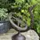 Thumbnail: Armillary Sphere Cast Iron Garden Decoration
