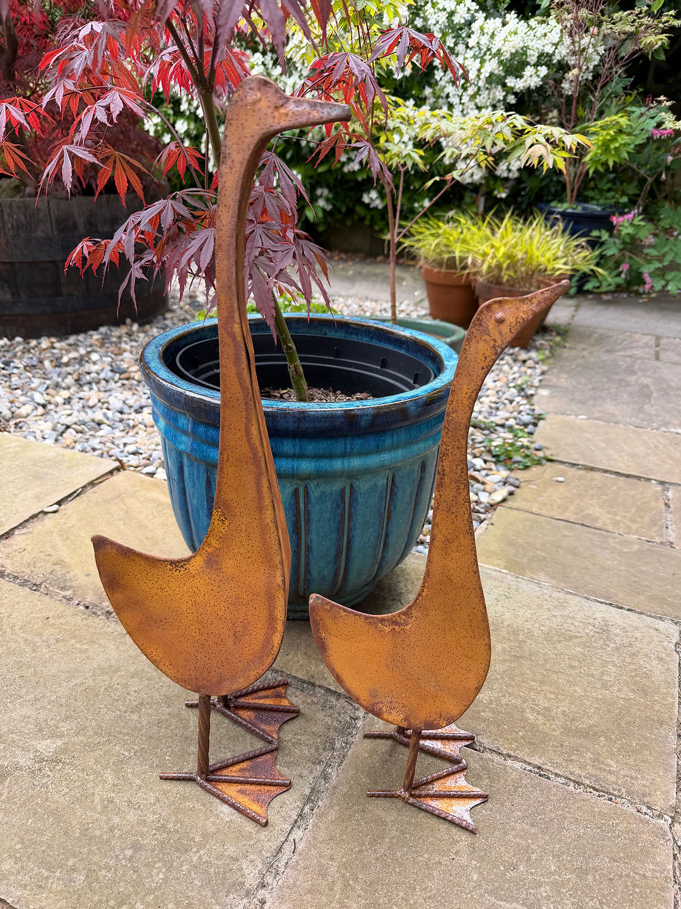 Thumbnail: Rusty Duck Metal Garden Ornament