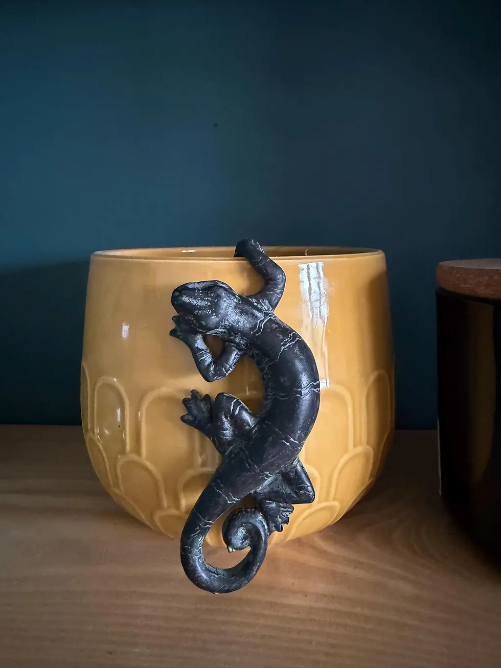 Thumbnail: Gecko Plant Pot Hanger
