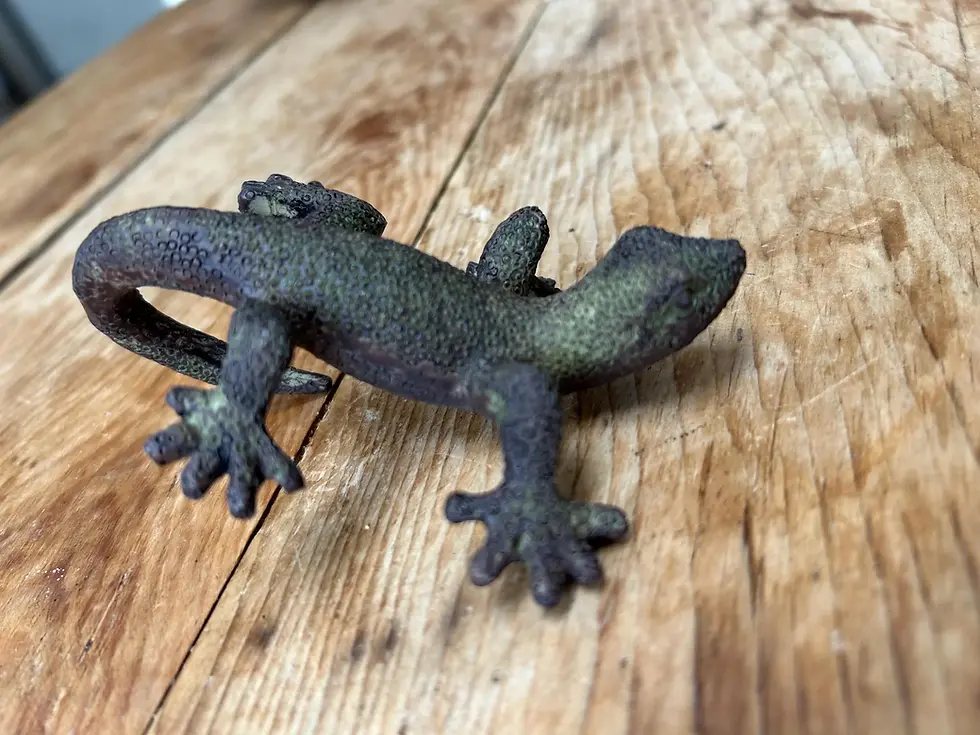 Thumbnail: Lizard Plant Pot Hanger