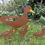 Thumbnail: Set of 4 Rusty Duck Family Metal Garden Stakes