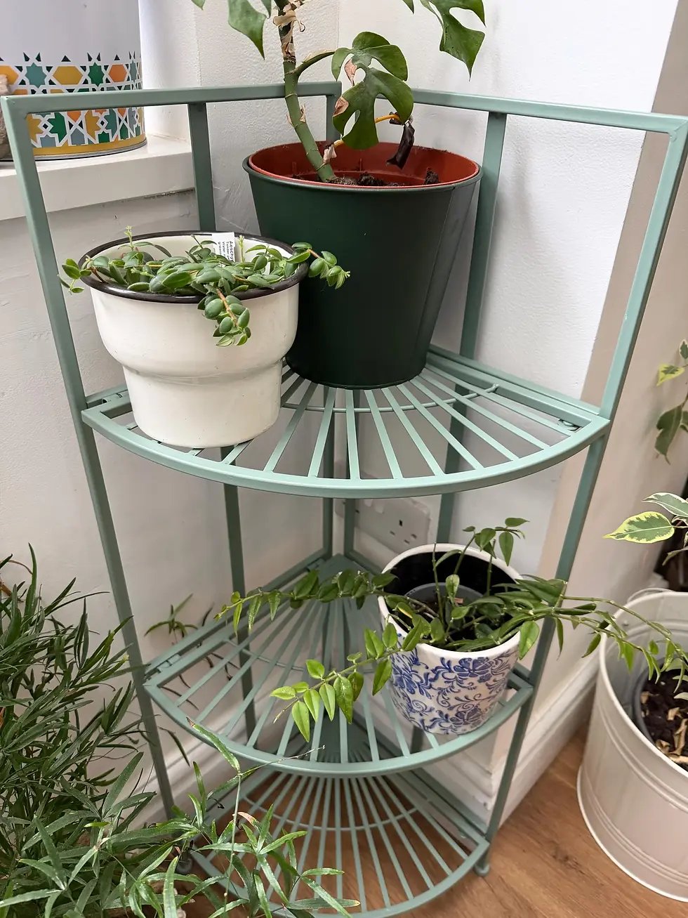Thumbnail: Three Tier Folding Corner Plant Stand