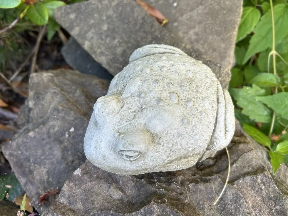 Thumbnail: Small Stone Bullfrog Garden Statue