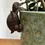 Thumbnail: Climbing Tortoise Plant Pot Hanger