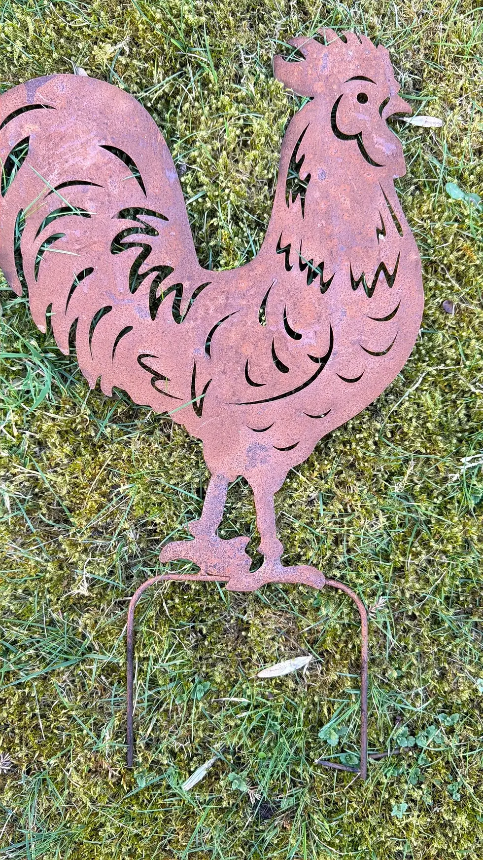 Thumbnail: Rusty Cockerel Metal Garden Stake