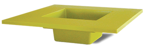 205-kiwi-square.png