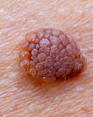 WhatsApp Image 2025-10-17 at 17.19.48.jpeg