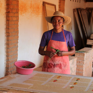 Artesanía Madagascar