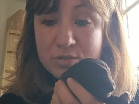 Vidéo de qualité professionnelle 🤣