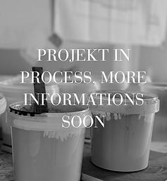Projekt in process, more informations soon (2).png