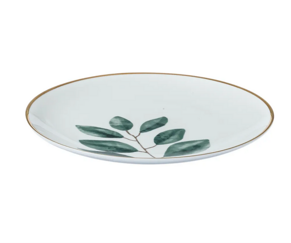 Thumbnail: The Amazon Rainforest Starter Plate Set