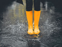 Rainfall Reports:  Jun 26th